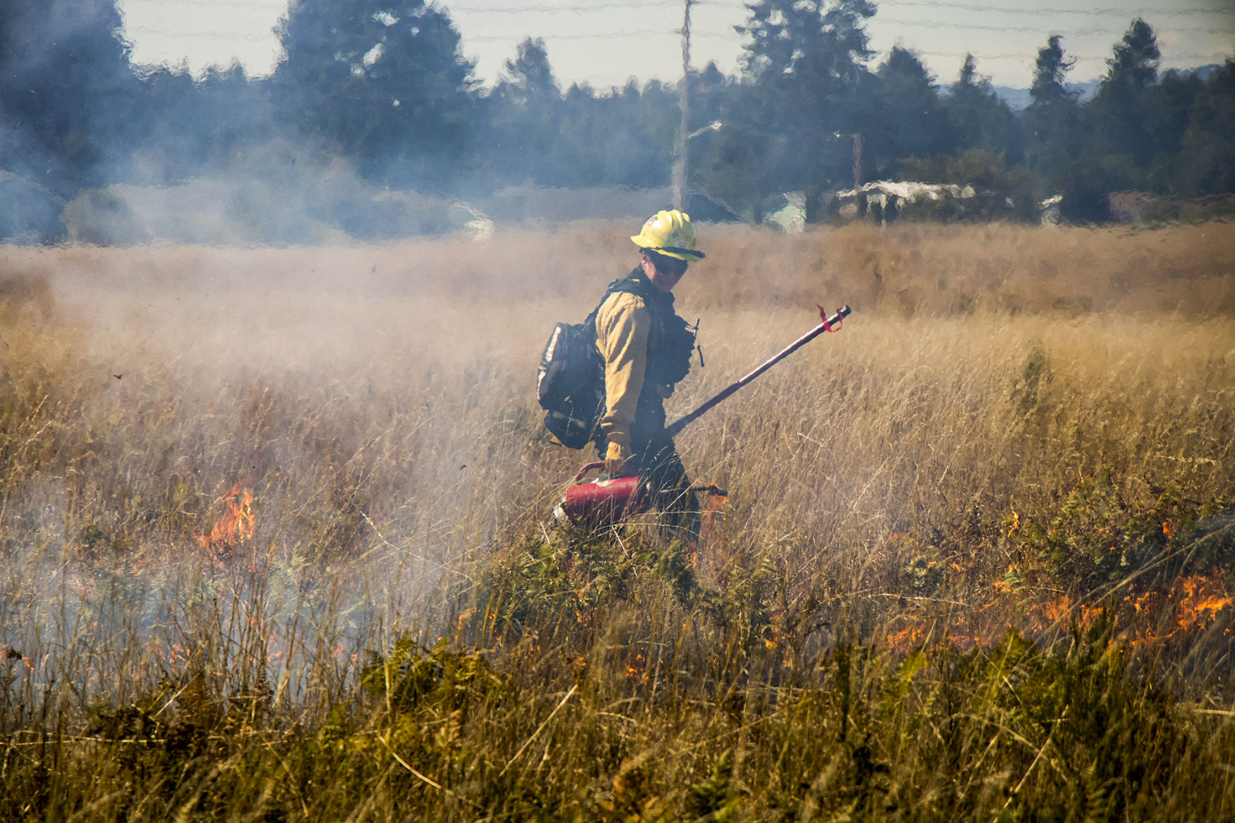 Prescribed Burns Ignite Across Western Washington